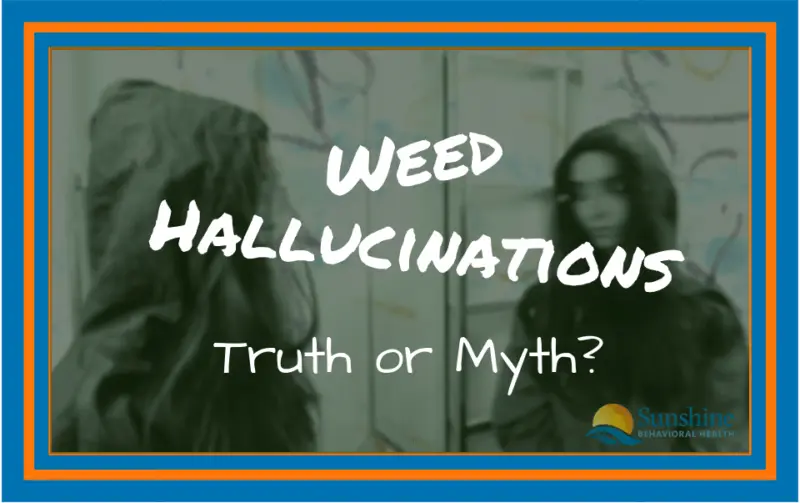 Weed Hallucinations: Truth or Myth?