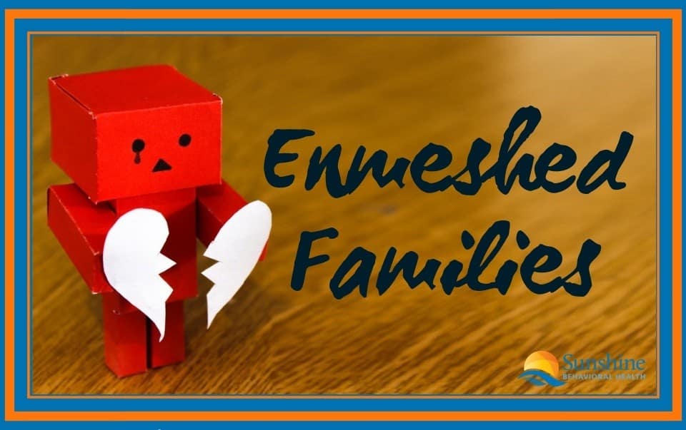 Enmeshed Families