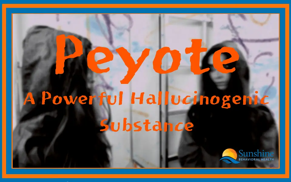 Effects of Peyote Abuse – Signs and Symptoms of Mescaline Use